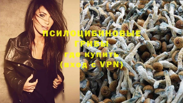 эйфоретик Алексеевка