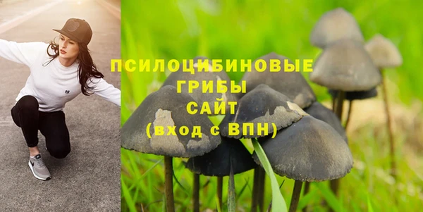 прущие крисы Алексин